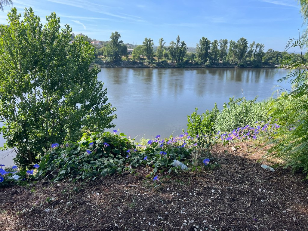 Von Constância nach Porto